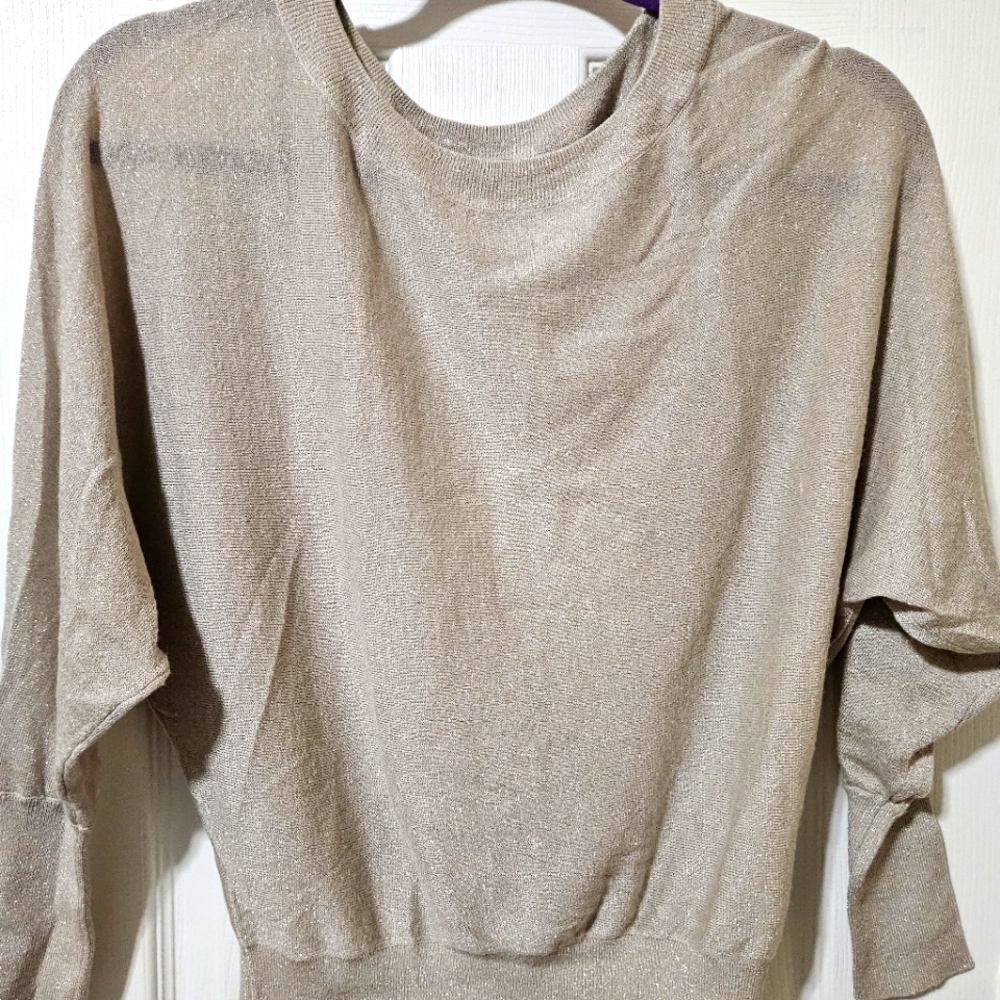 INC Beige glitter Blouse